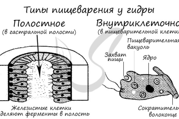 Как зайти на кракен браузеры
