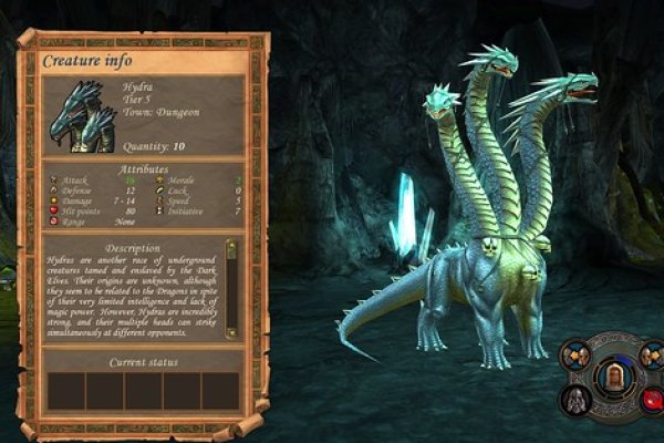 Kraken 24 at