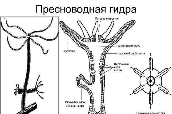 Кракен что это такое наркотики