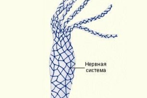 Кракен адрес даркнет