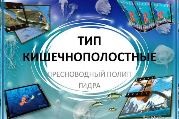 Кракен сайт как выглядит