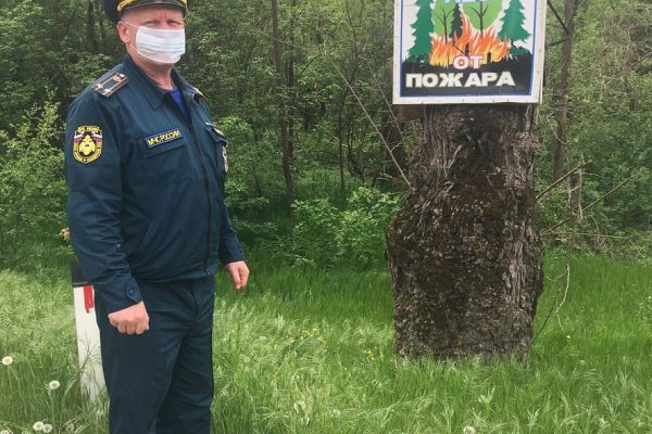 Гидра и кракен